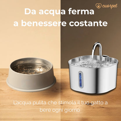 Fontanella CuorPet™ 2.2L - Trasforma la salute del tuo gatto