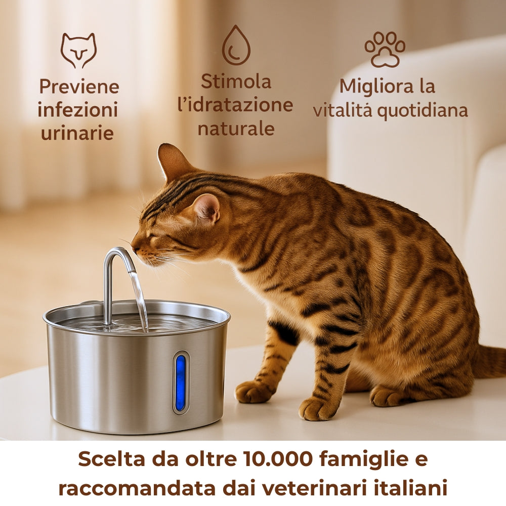 Fontanella CuorPet™ 2.2L - Trasforma la salute del tuo gatto
